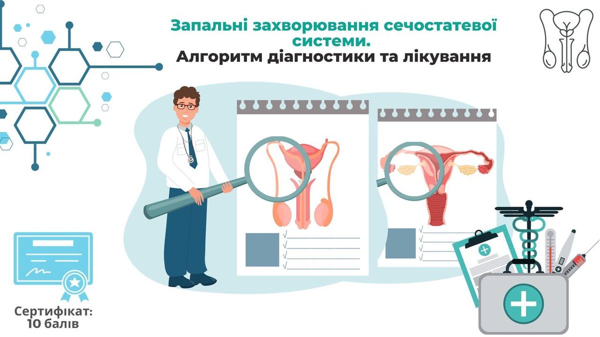 Запальні захворювання сечостатевої системи. Алгоритм діагностики та лікування.